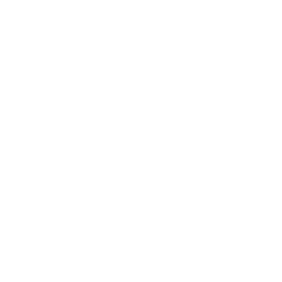 BUTURE